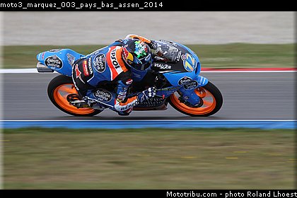 moto3_marquez_003_pays_bas_assen_2014.jpg