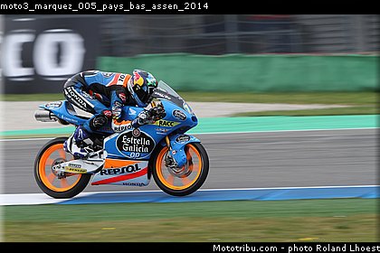 moto3_marquez_005_pays_bas_assen_2014.jpg