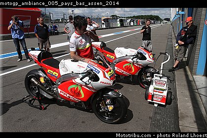 motogp_ambiance_005_pays_bas_assen_2014.jpg