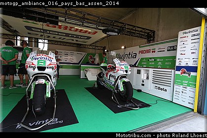 motogp_ambiance_016_pays_bas_assen_2014.jpg