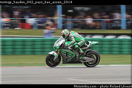 motogp_hayden_002_pays_bas_assen_2014.jpg