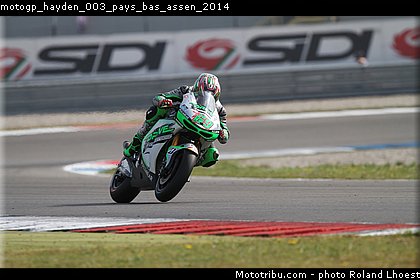motogp_hayden_003_pays_bas_assen_2014.jpg