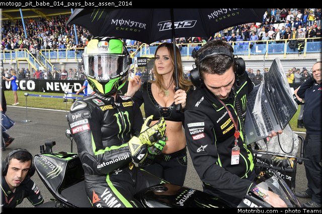 motogp_pit_babe_014_pays_bas_assen_2014