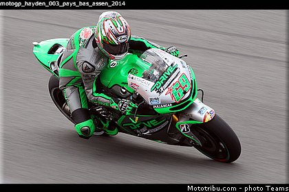 motogp_hayden_003_pays_bas_assen_2014.jpg