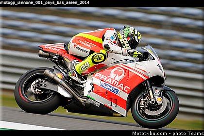 motogp_iannone_001_pays_bas_assen_2014.jpg