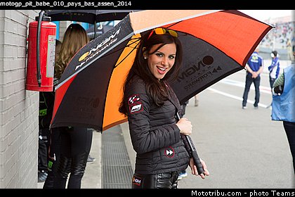 motogp_pit_babe_010_pays_bas_assen_2014.jpg