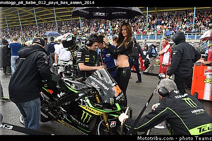 motogp_pit_babe_012_pays_bas_assen_2014.jpg