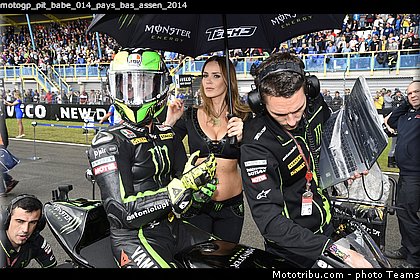 motogp_pit_babe_014_pays_bas_assen_2014.jpg
