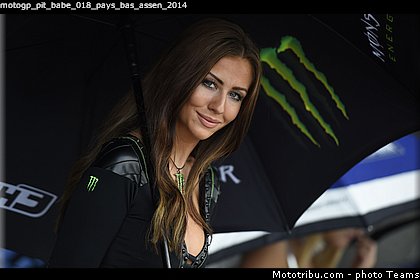 motogp_pit_babe_018_pays_bas_assen_2014.jpg