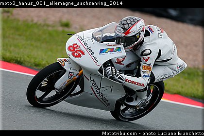 moto3_hanus_001_allemagne_sachsenring_2014.jpg