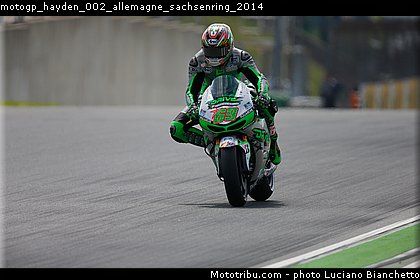 motogp_hayden_002_allemagne_sachsenring_2014.jpg