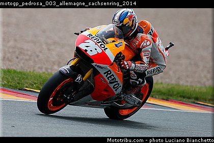 motogp_pedrosa_003_allemagne_sachsenring_2014.jpg