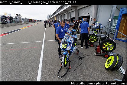 moto3_danilo_003_allemagne_sachsenring_2014.jpg