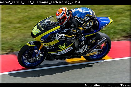 moto2_cardus_009_allemagne_sachsenring_2014.jpg