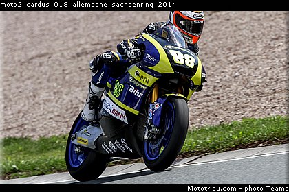 moto2_cardus_018_allemagne_sachsenring_2014.jpg