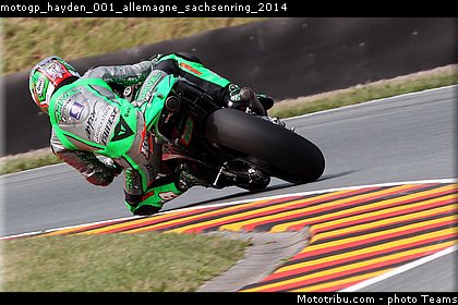 motogp_hayden_001_allemagne_sachsenring_2014.jpg