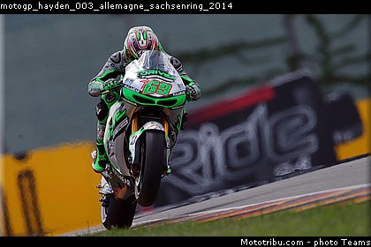 motogp_hayden_003_allemagne_sachsenring_2014.jpg