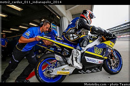 moto2_cardus_011_indianapolis_2014.jpg