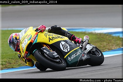 moto2_salom_009_indianapolis_2014.jpg