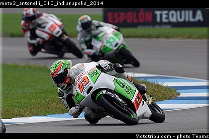 moto3_antonelli_010_indianapolis_2014.jpg