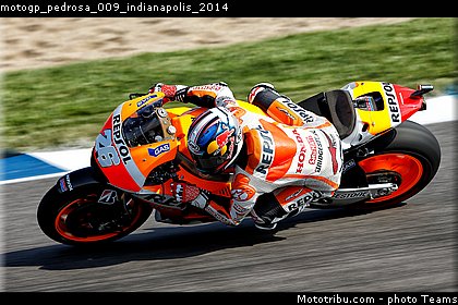 motogp_pedrosa_009_indianapolis_2014.jpg