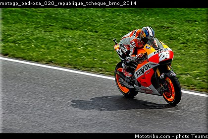 motogp_pedrosa_020_republique_tcheque_brno_2014.jpg