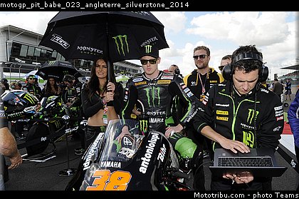 motogp_pit_babe_023_angleterre_silverstone_2014.jpg