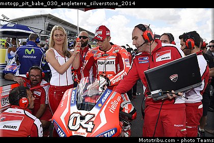 motogp_pit_babe_030_angleterre_silverstone_2014.jpg