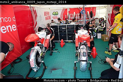 moto2_ambiance_0009_japon_motegi_2014.jpg