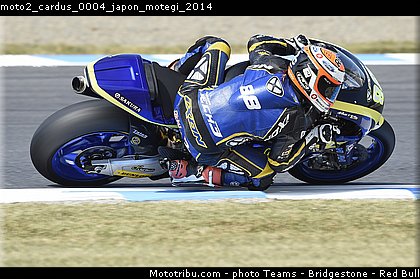 moto2_cardus_0004_japon_motegi_2014.jpg