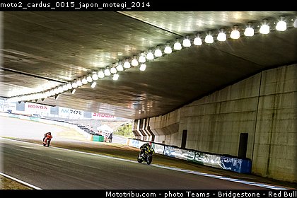 moto2_cardus_0015_japon_motegi_2014.jpg
