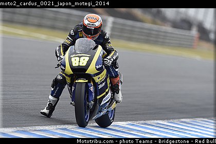 moto2_cardus_0021_japon_motegi_2014.jpg