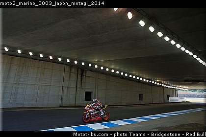 moto2_marino_0003_japon_motegi_2014.jpg
