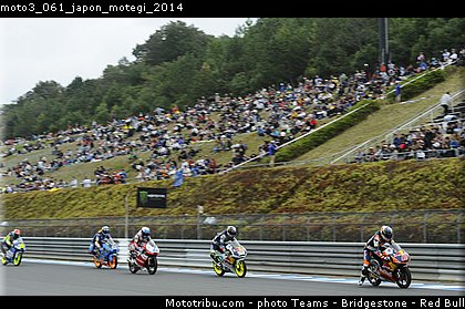 moto3_061_japon_motegi_2014.jpg