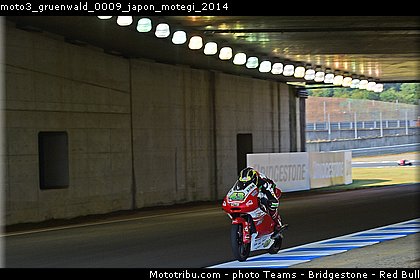 moto3_gruenwald_0009_japon_motegi_2014.jpg