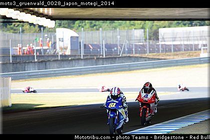 moto3_gruenwald_0028_japon_motegi_2014.jpg