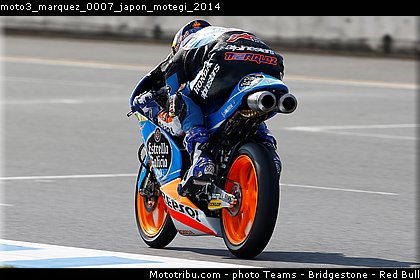 moto3_marquez_0007_japon_motegi_2014.jpg