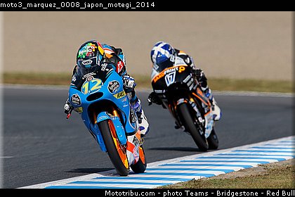 moto3_marquez_0008_japon_motegi_2014.jpg