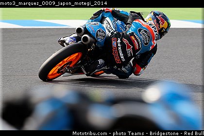 moto3_marquez_0009_japon_motegi_2014.jpg