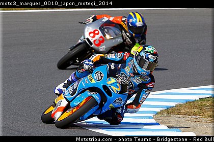 moto3_marquez_0010_japon_motegi_2014.jpg