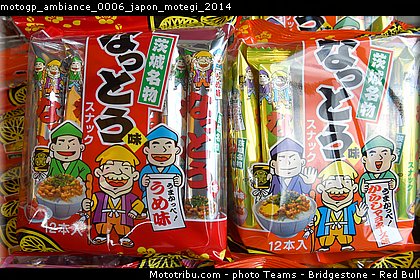 motogp_ambiance_0006_japon_motegi_2014.jpg