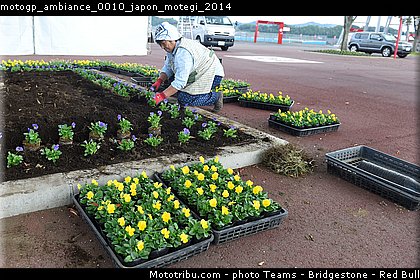 motogp_ambiance_0010_japon_motegi_2014.jpg