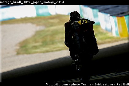 motogp_bradl_0026_japon_motegi_2014.jpg
