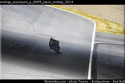 motogp_espargaro_p_0005_japon_motegi_2014.jpg