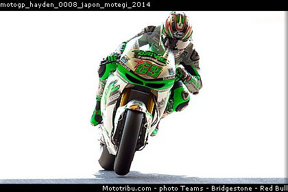motogp_hayden_0008_japon_motegi_2014.jpg