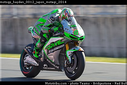 motogp_hayden_0012_japon_motegi_2014.jpg