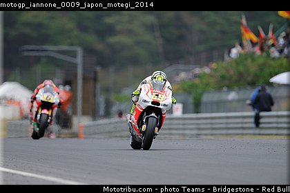 motogp_iannone_0009_japon_motegi_2014.jpg