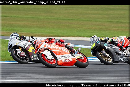 moto2_046_australie_philip_island_2014.jpg