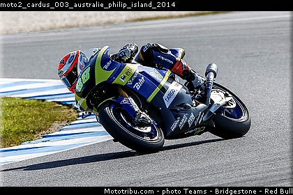 moto2_cardus_003_australie_philip_island_2014.jpg