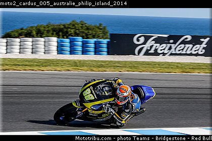 moto2_cardus_005_australie_philip_island_2014.jpg